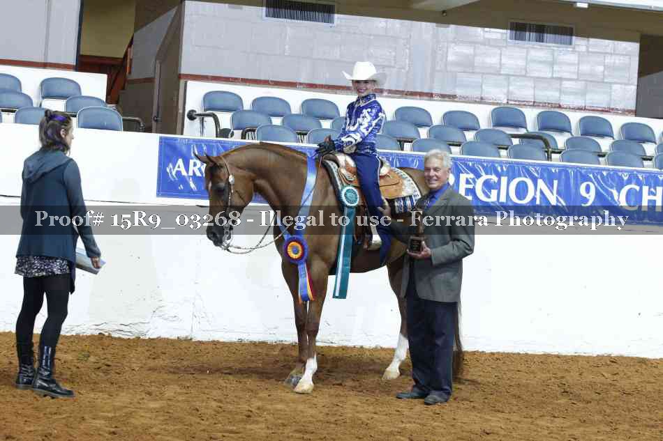 Proof Number 15R9_03268