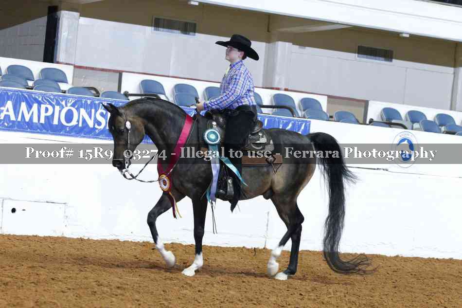 Proof Number 15R9_03274