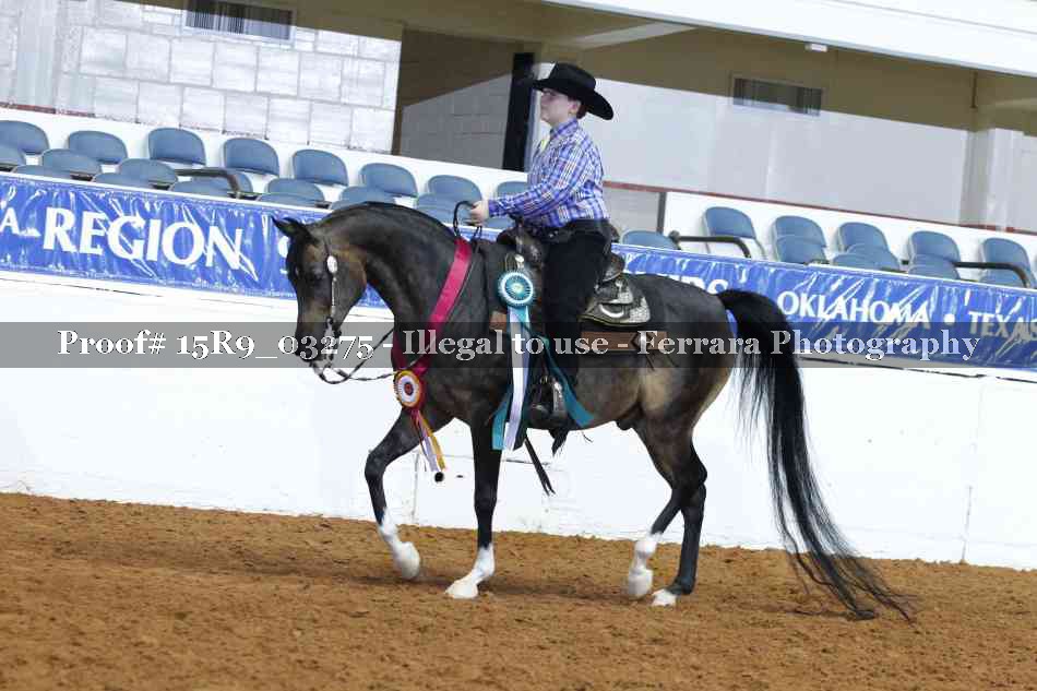 Proof Number 15R9_03275