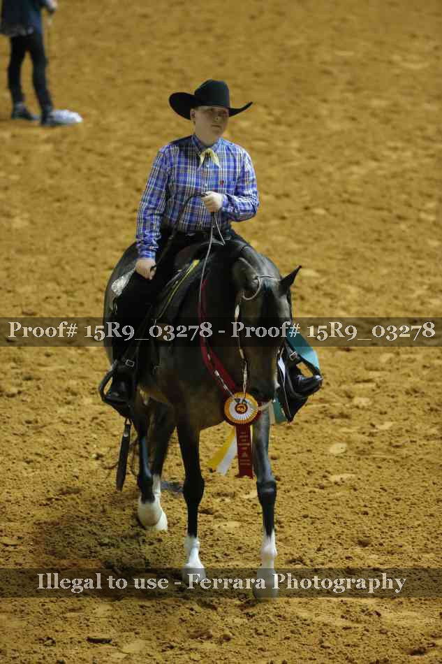 Proof Number 15R9_03278