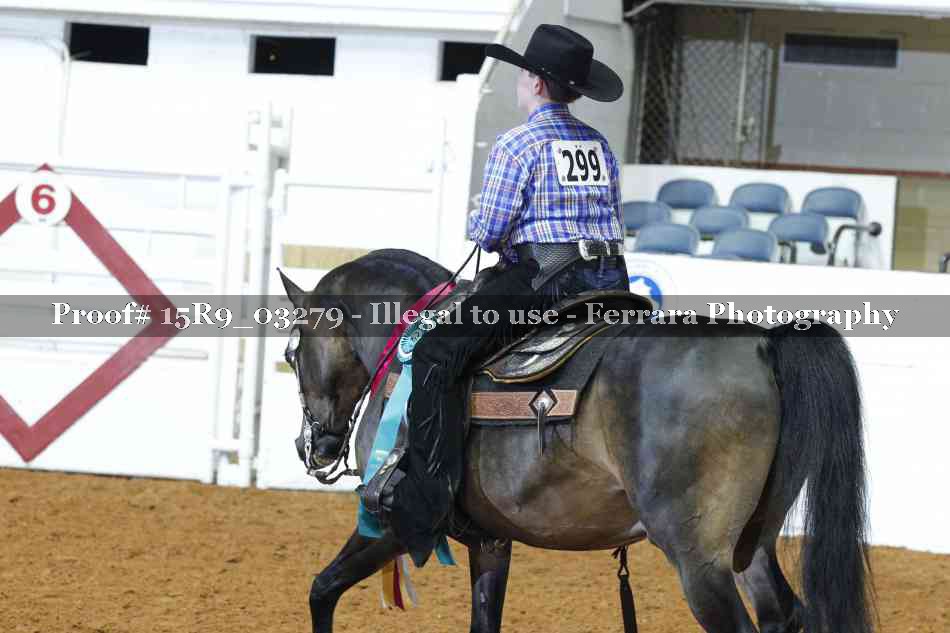 Proof Number 15R9_03279