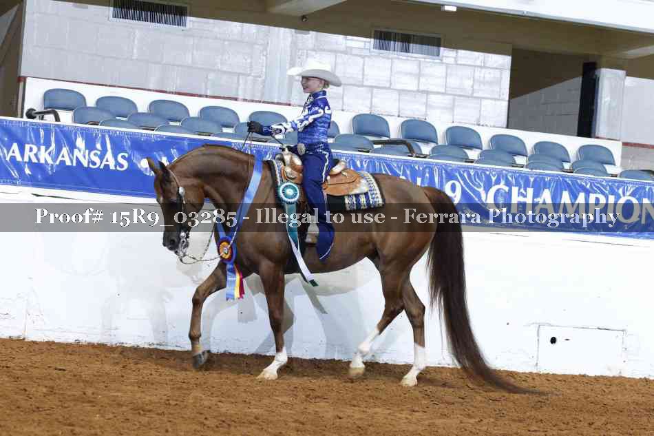 Proof Number 15R9_03285