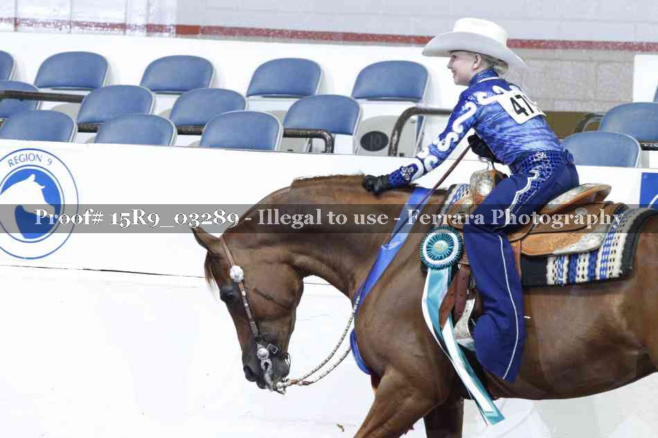 Proof Number 15R9_03289