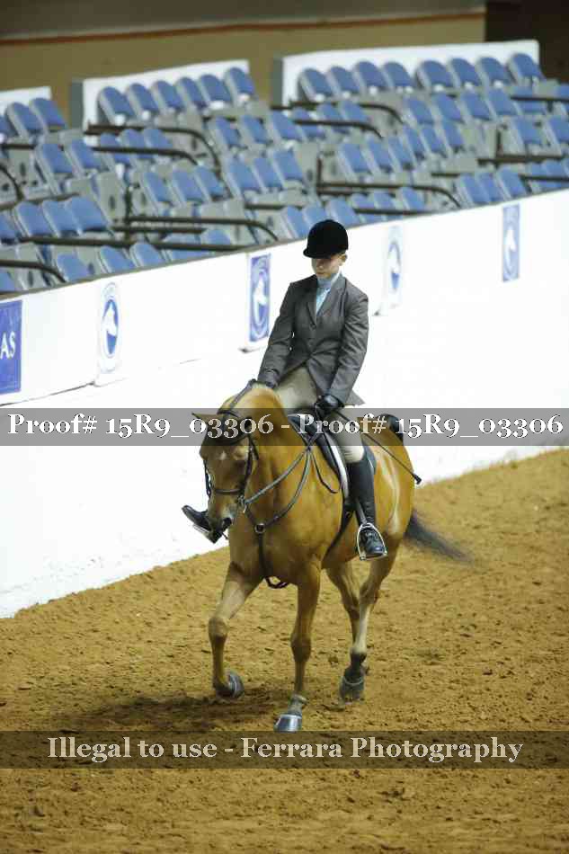 Proof Number 15R9_03306