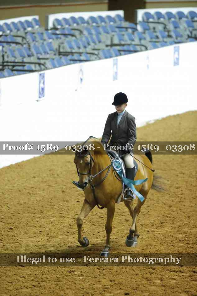 Proof Number 15R9_03308