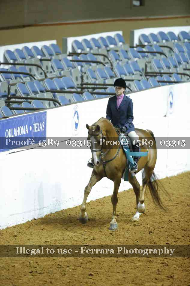 Proof Number 15R9_03315