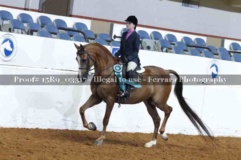 Proof Number 15R9_03317