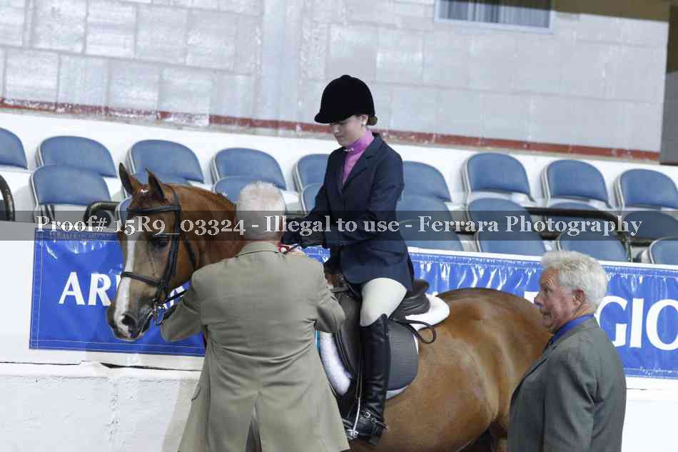 Proof Number 15R9_03324