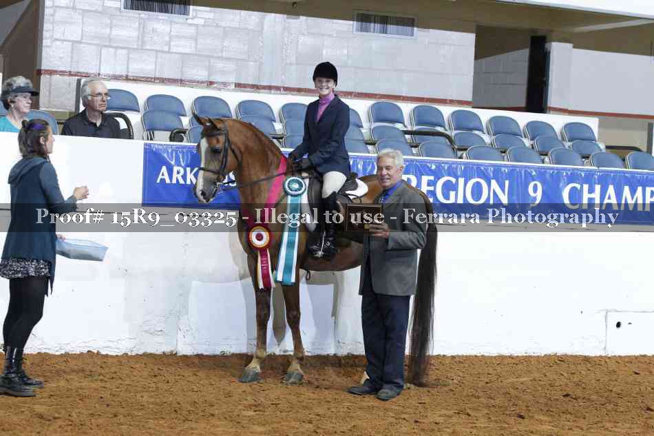 Proof Number 15R9_03325