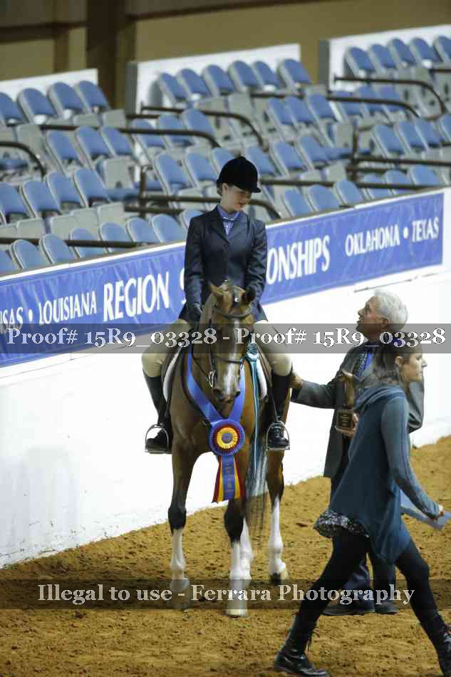Proof Number 15R9_03328