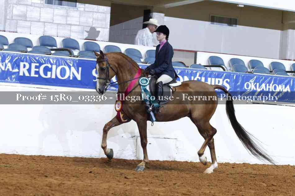 Proof Number 15R9_03336