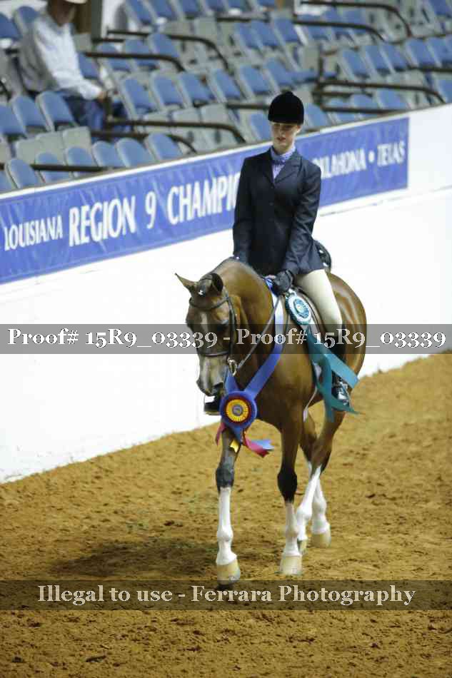 Proof Number 15R9_03339