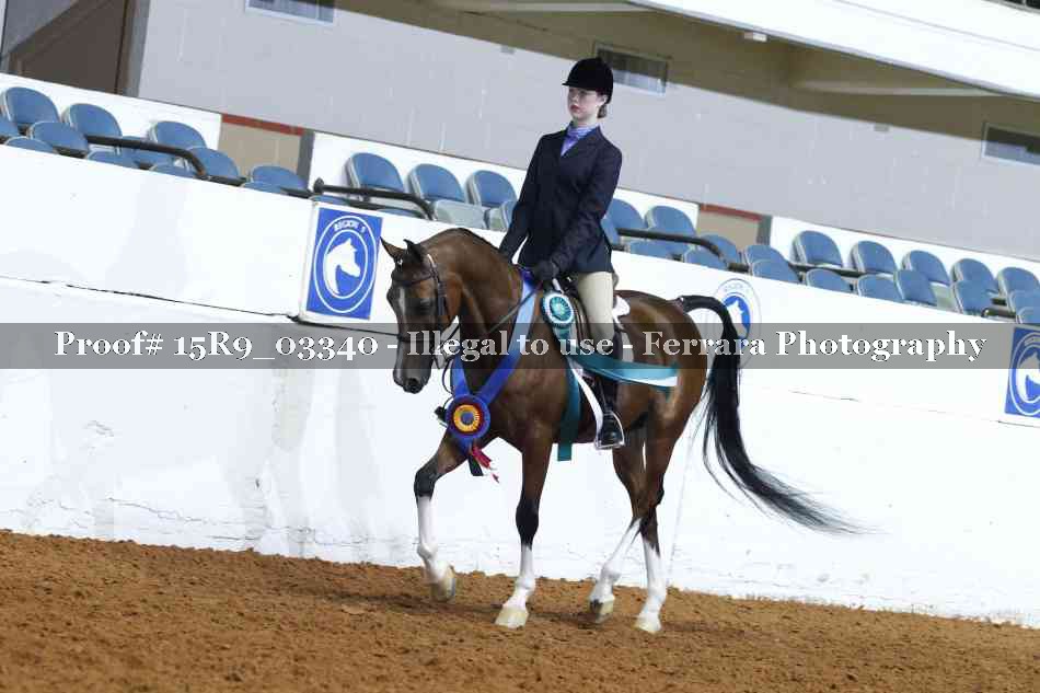 Proof Number 15R9_03340