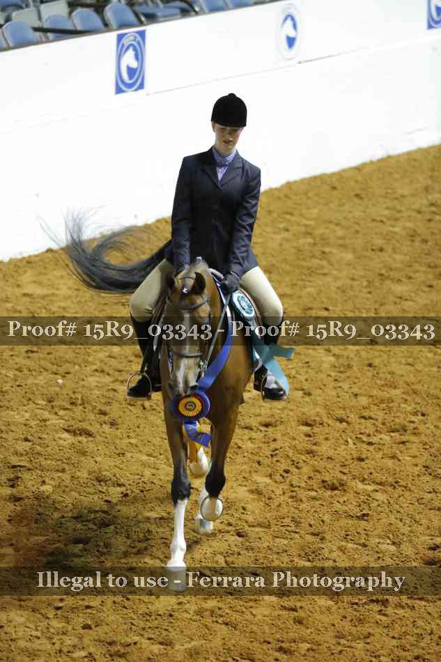 Proof Number 15R9_03343