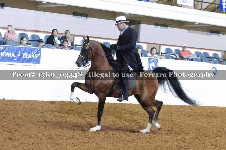 Proof Number 15R9_03348
