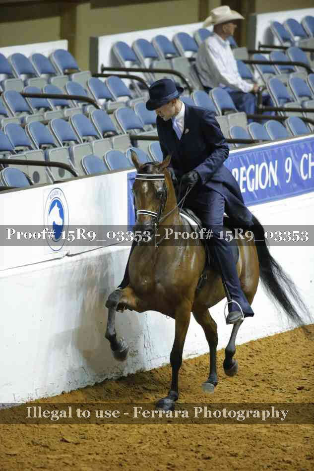 Proof Number 15R9_03353