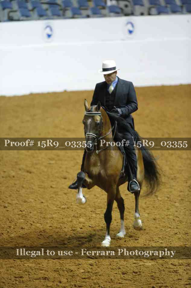 Proof Number 15R9_03355