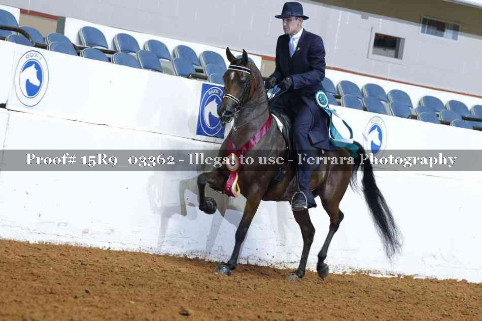 Proof Number 15R9_03362