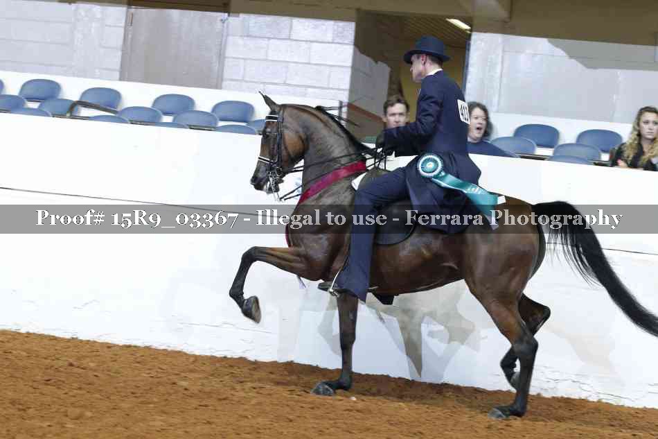 Proof Number 15R9_03367