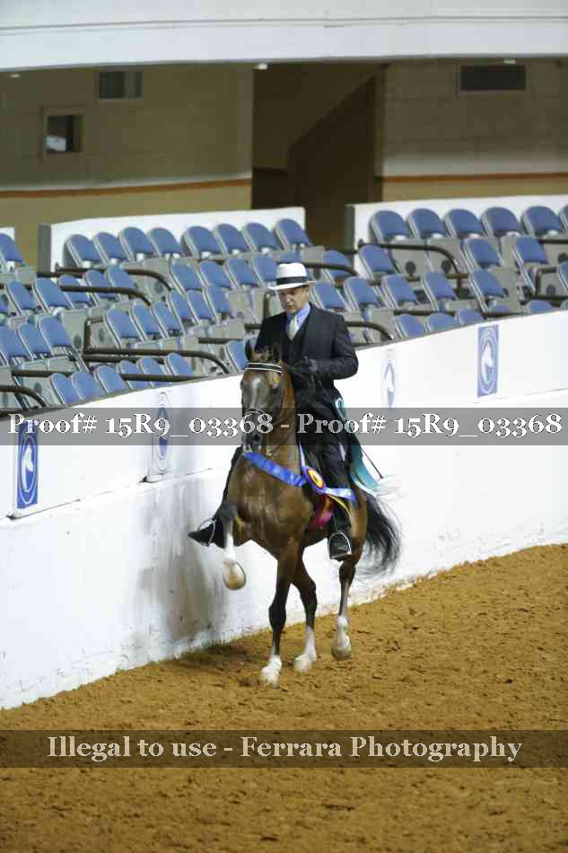 Proof Number 15R9_03368