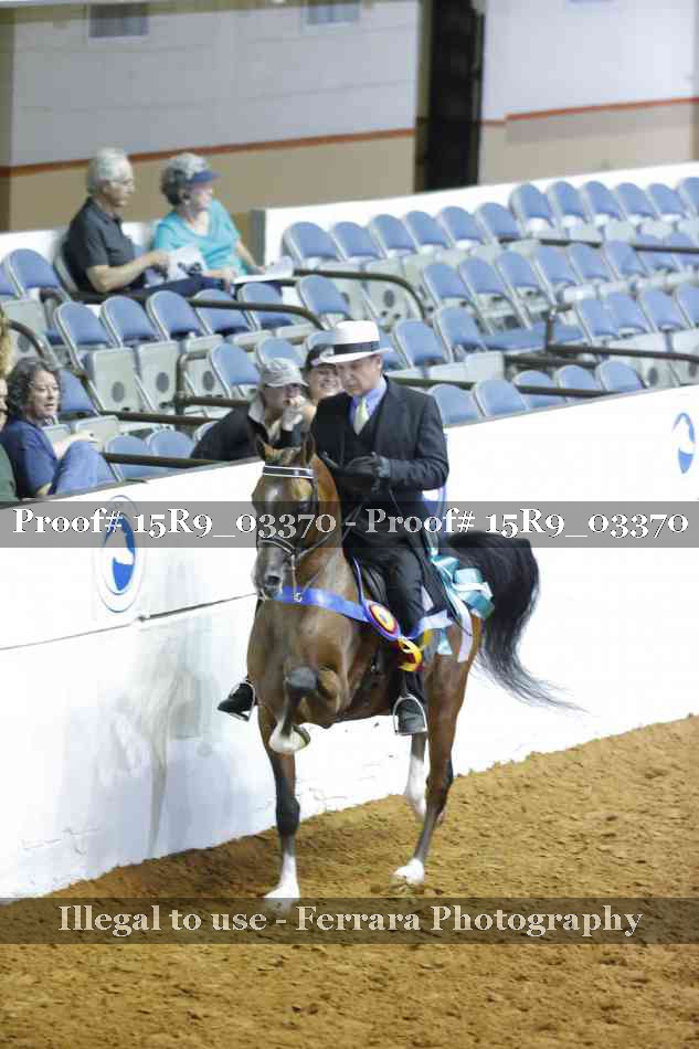 Proof Number 15R9_03370