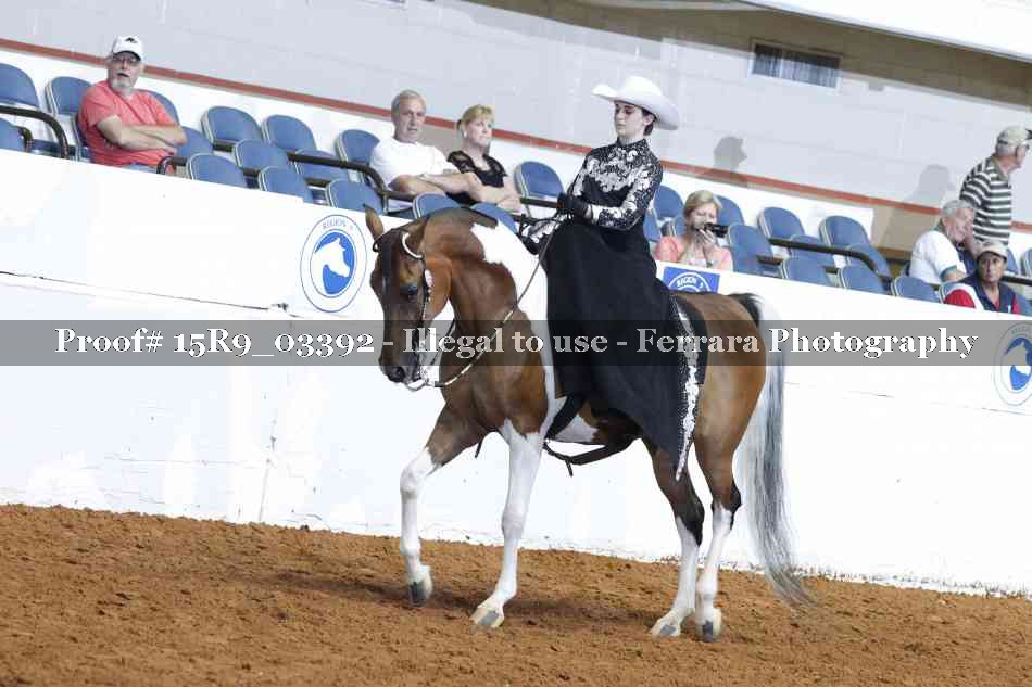 Proof Number 15R9_03392