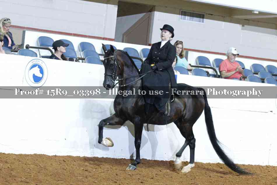 Proof Number 15R9_03398