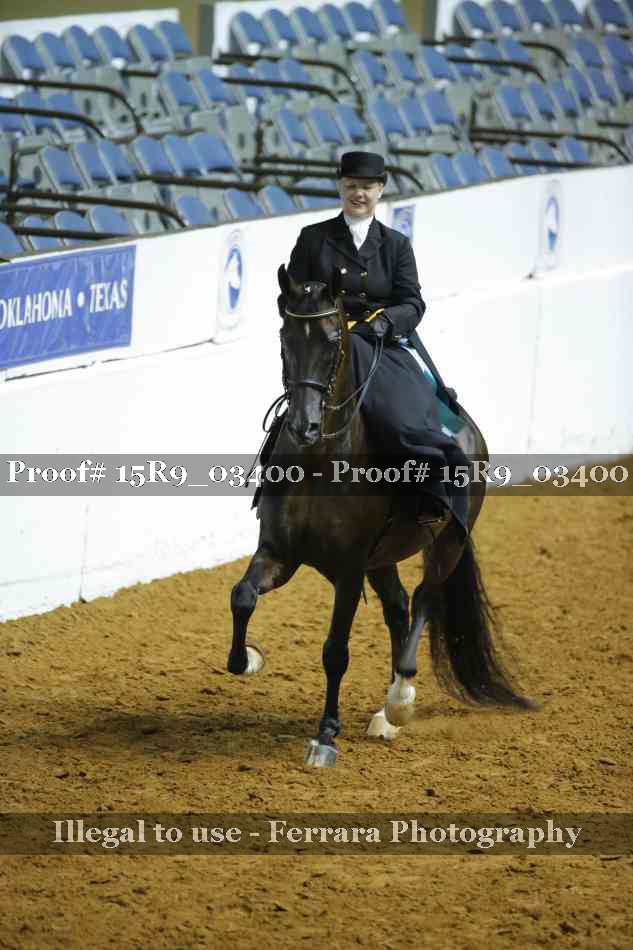 Proof Number 15R9_03400