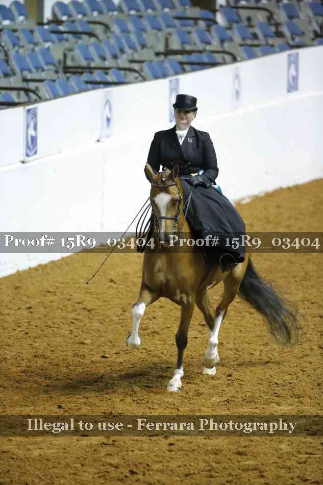 Proof Number 15R9_03404