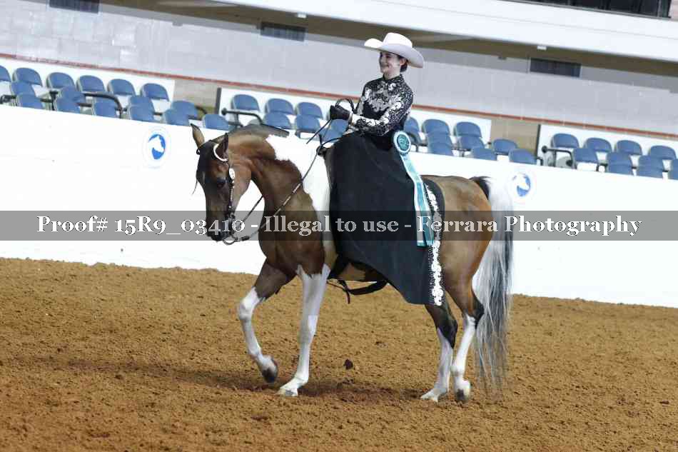 Proof Number 15R9_03410