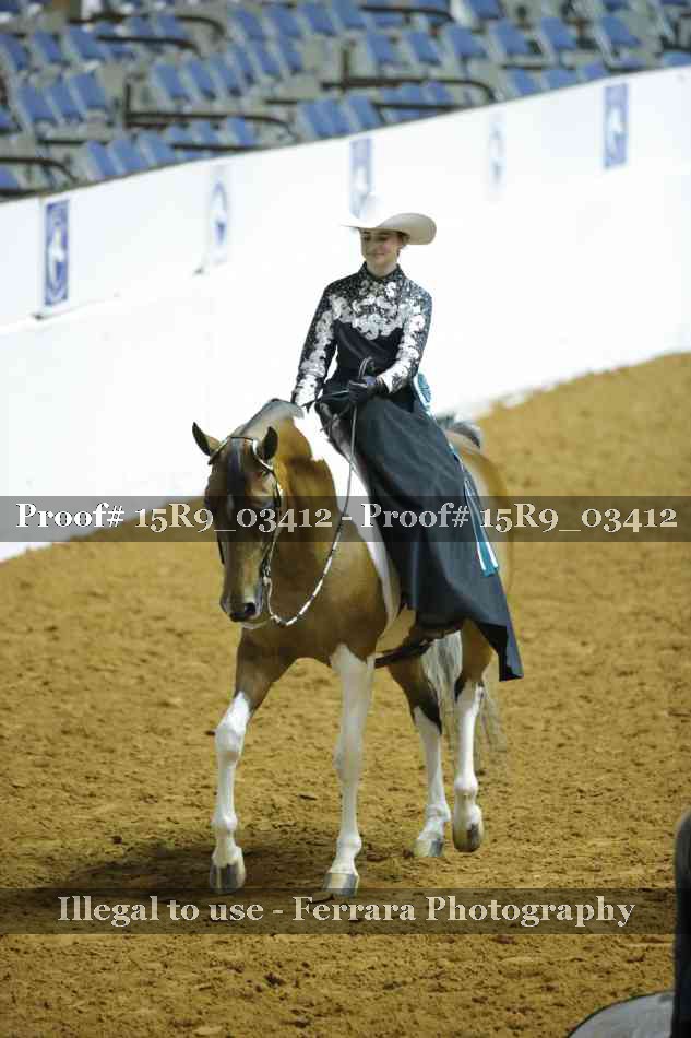 Proof Number 15R9_03412