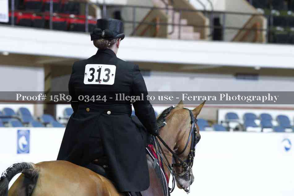 Proof Number 15R9_03424