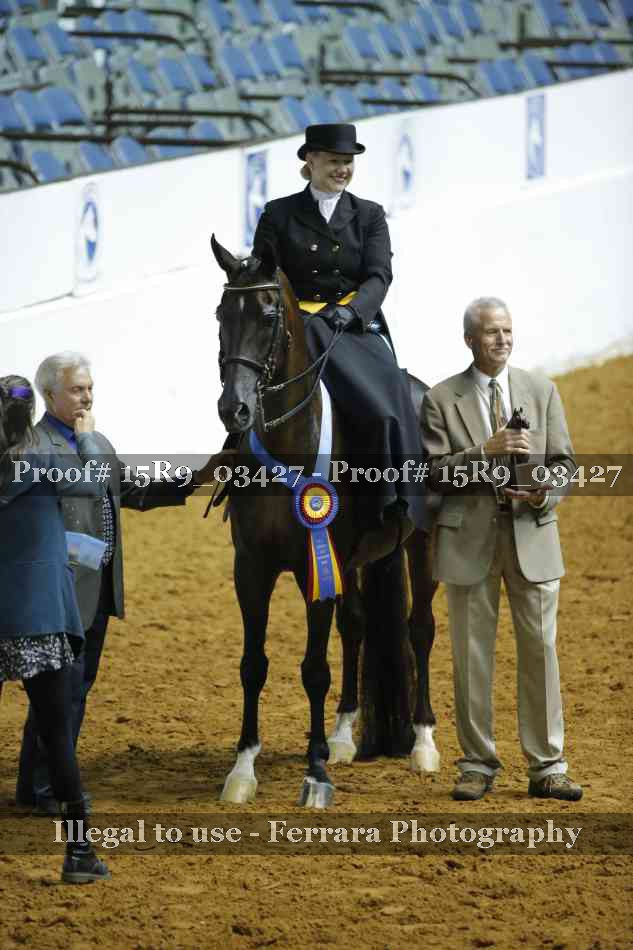Proof Number 15R9_03427