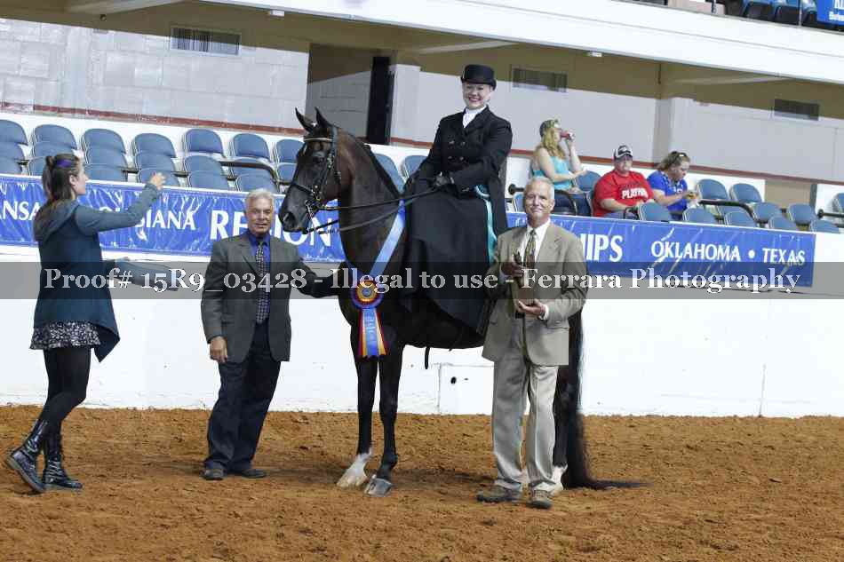 Proof Number 15R9_03428