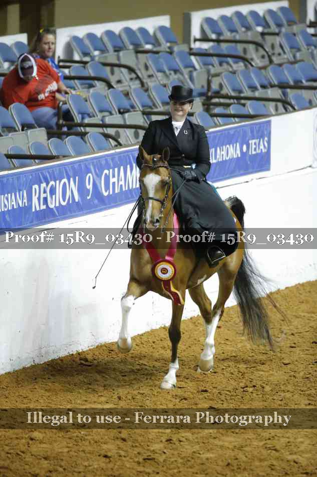 Proof Number 15R9_03430
