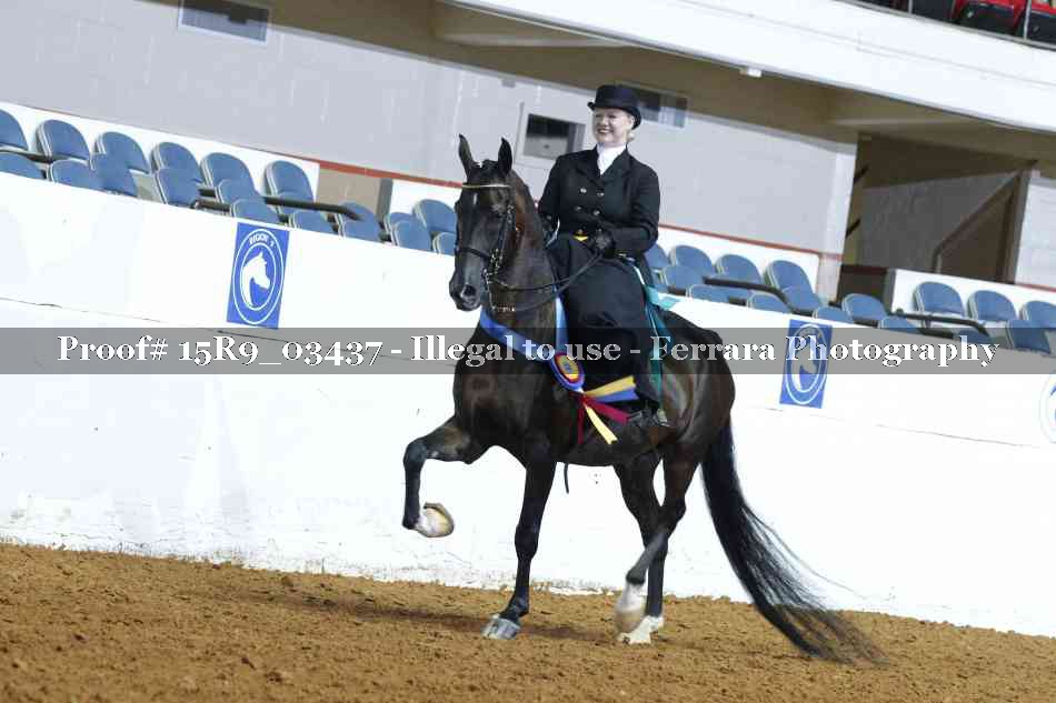 Proof Number 15R9_03437