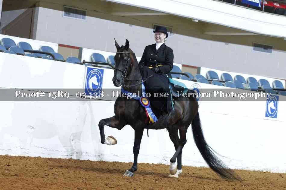 Proof Number 15R9_03438