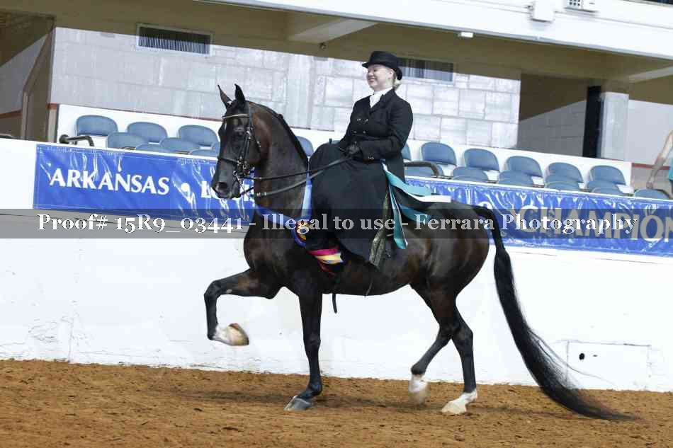 Proof Number 15R9_03441
