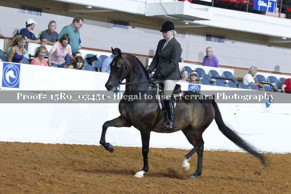 Proof Number 15R9_03451