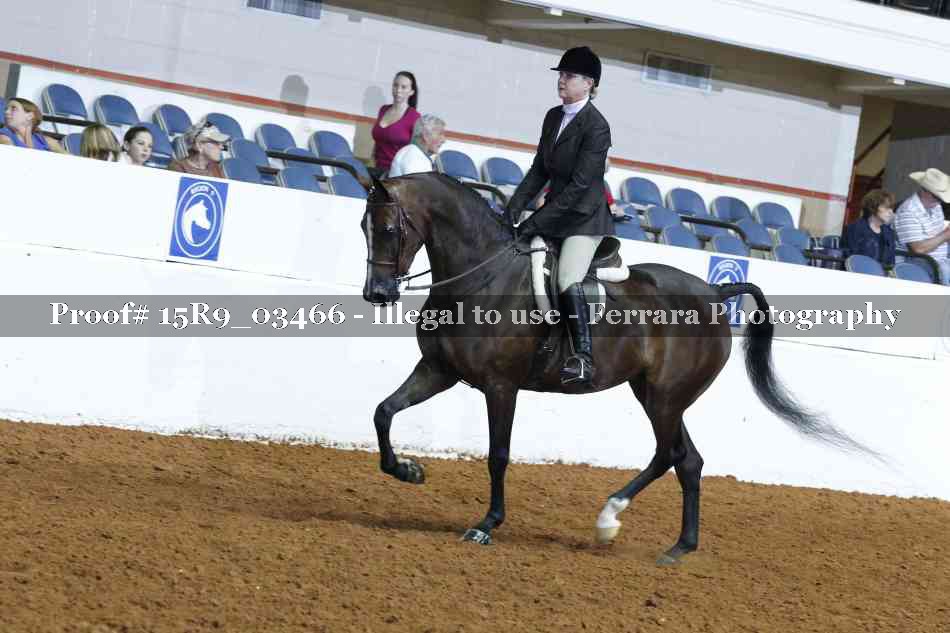 Proof Number 15R9_03466