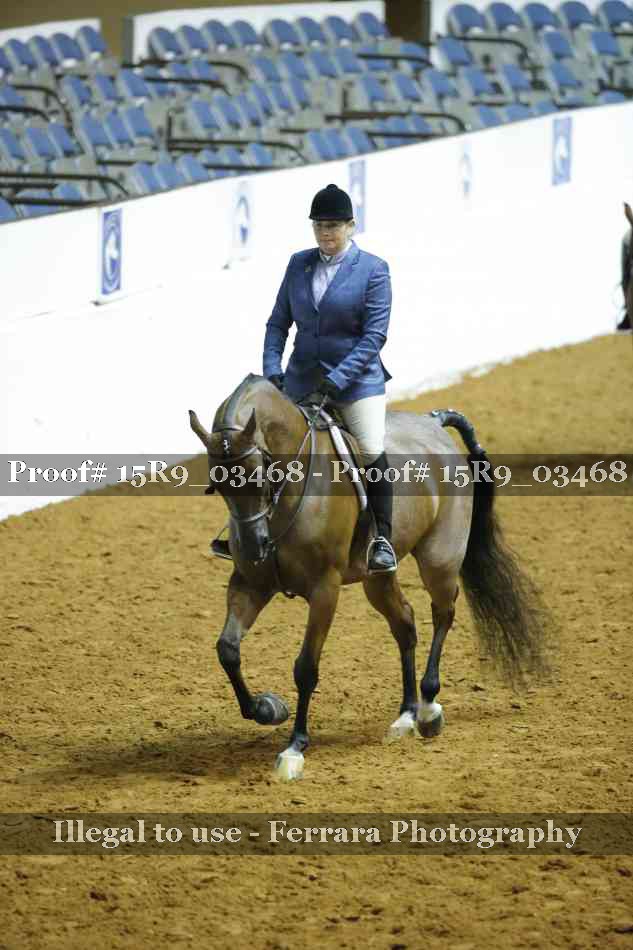 Proof Number 15R9_03468