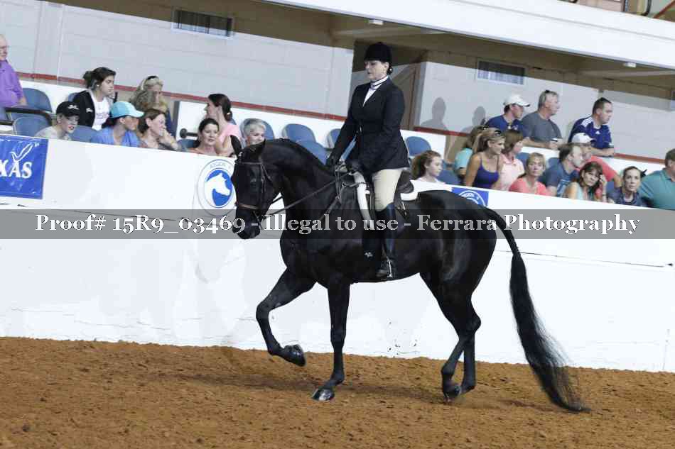 Proof Number 15R9_03469