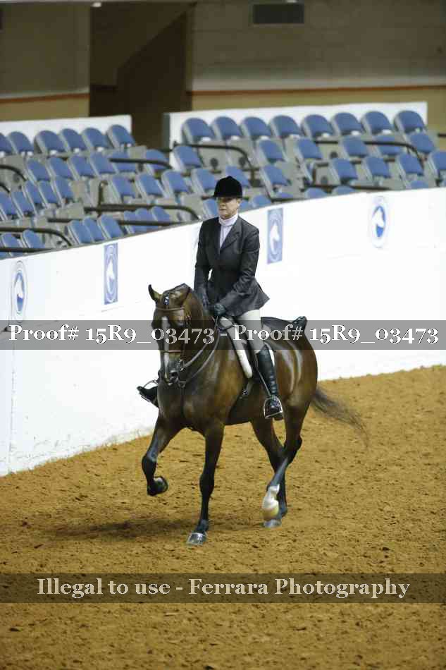 Proof Number 15R9_03473