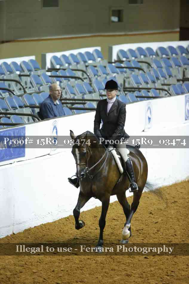 Proof Number 15R9_03474