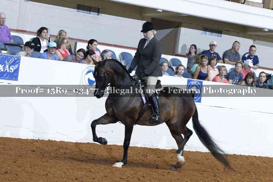 Proof Number 15R9_03477