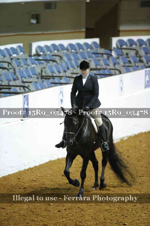 Proof Number 15R9_03478