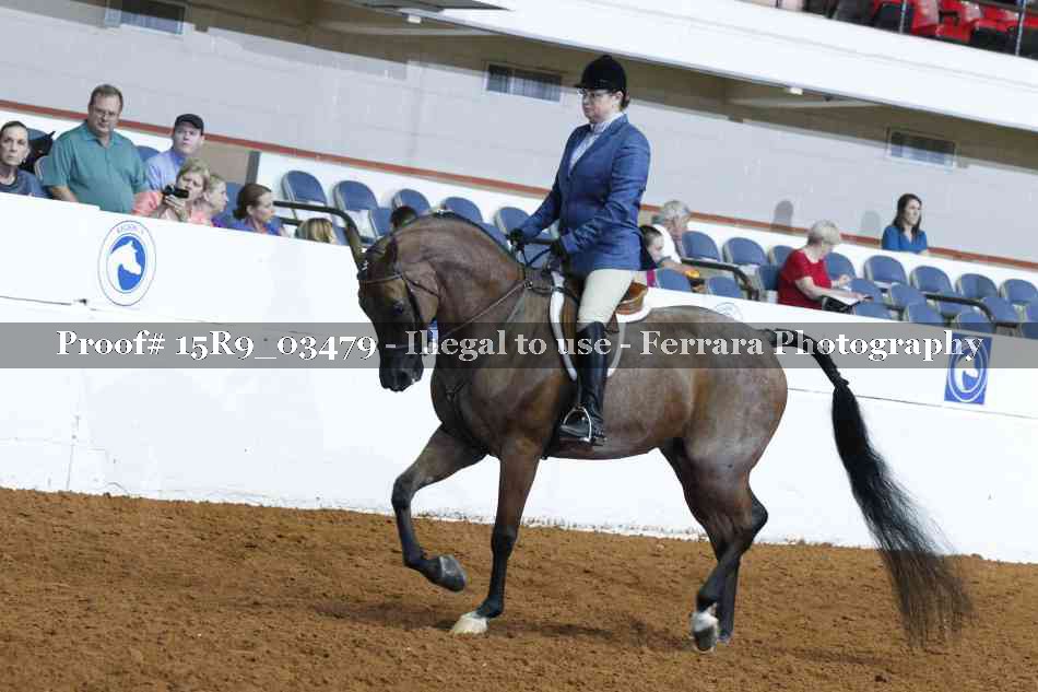 Proof Number 15R9_03479