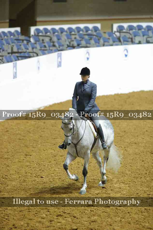 Proof Number 15R9_03482