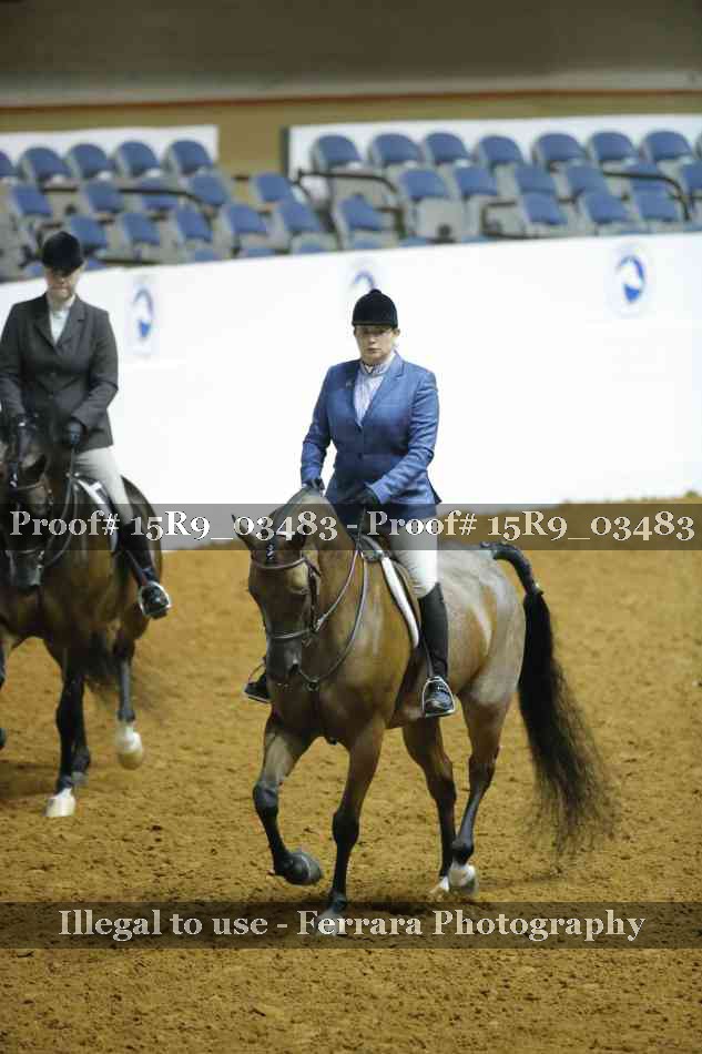 Proof Number 15R9_03483
