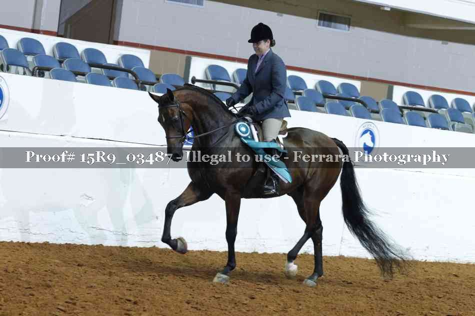 Proof Number 15R9_03487